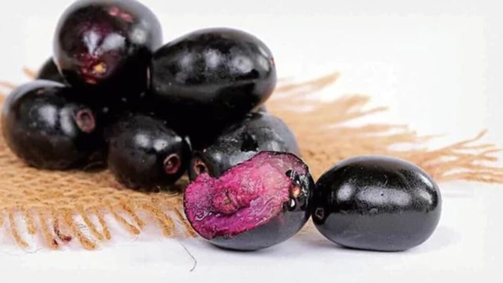 Jamun in English